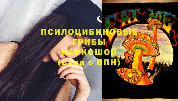 бошки Инсар