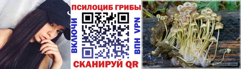 Псилоцибиновые грибы мицелий  Купить закладки  Данков 